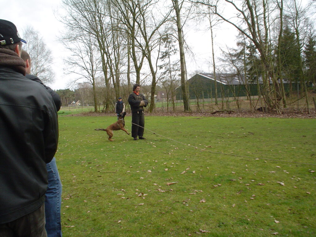 Grassklopper
