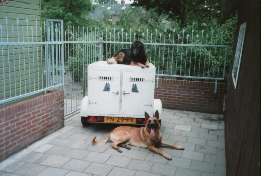 Honden