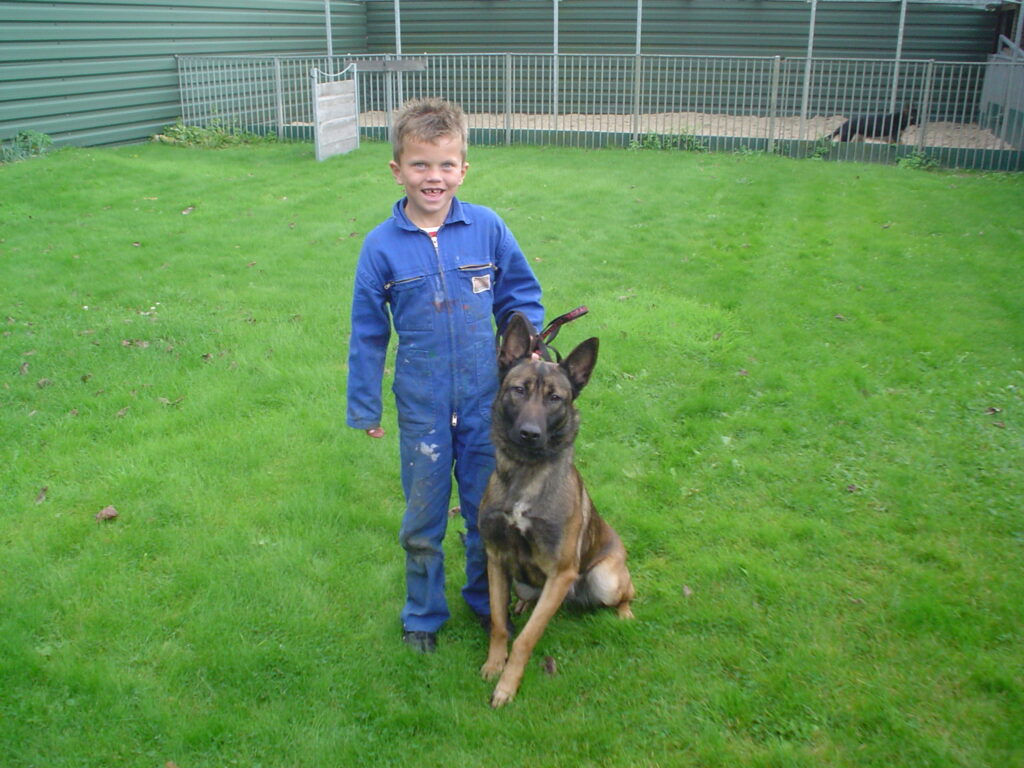 Honden