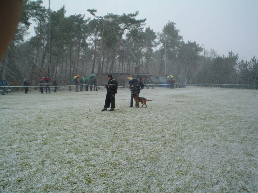diversen