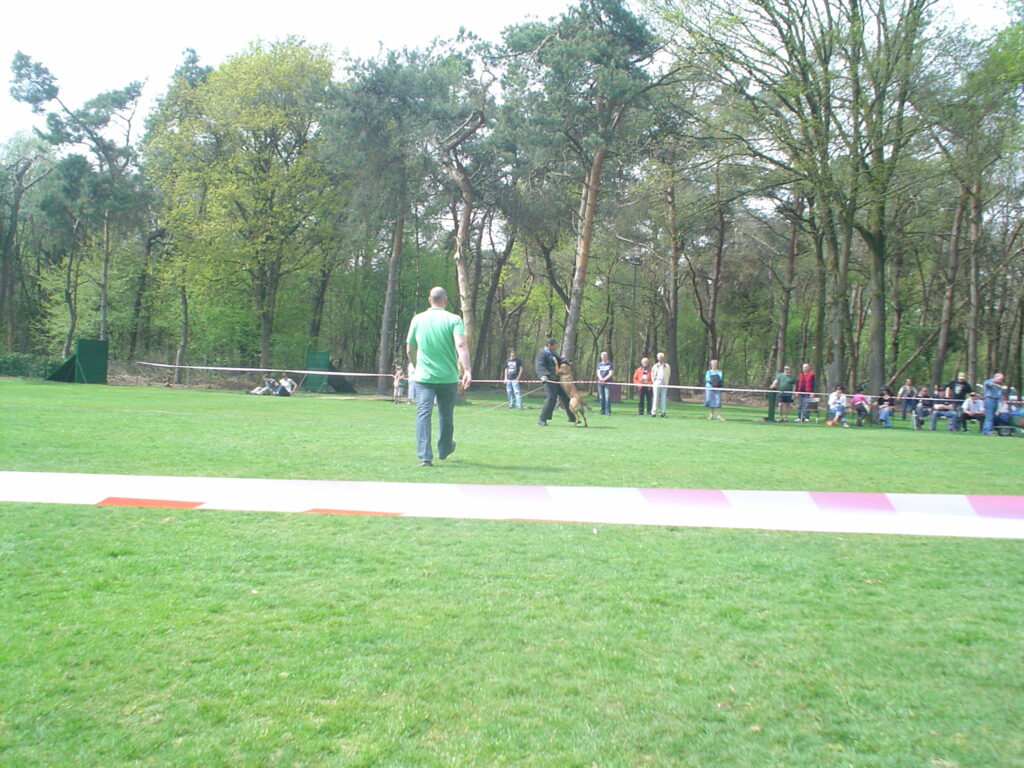 diversen
