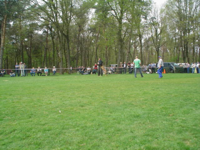 Grassklopper